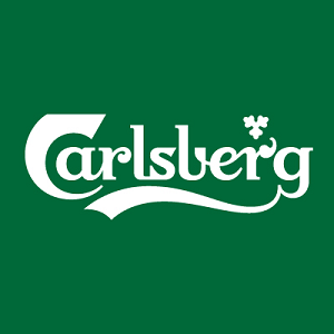BERE CARLSBERG 0,5L